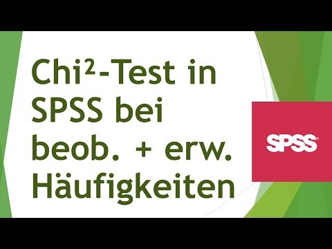 Chi-Quadrat-Unabhängigkeitstest in SPSS durchführen - Daten analysieren in SPSS (22)
