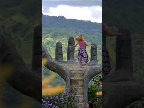 TikTokビデオは面白いはずだが、拷問された動物が映っている