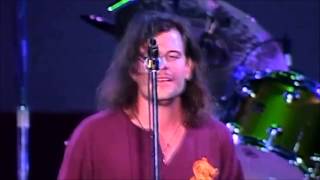 Gin Blossoms - 