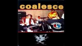 Coalesce - The Harvest of Maturity