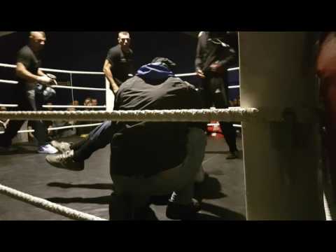 # Box Amateur vs Profi -so einfach ist es nicht- 2016-  Edi`S-world