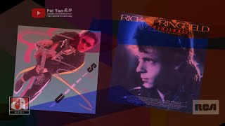 Stand Up 张国荣《附加英语原唱：Stand Up  Rick Springfield》