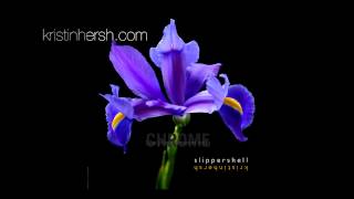 kristin hersh - slippershell