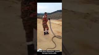 Download lagu ABANG BOMBA LEPAS ULAR TEDUNG BESAR | ULAR KEJAR BALIK #shorts mp3