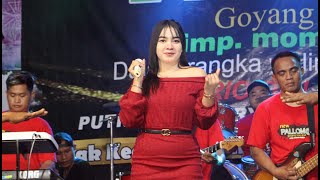 Download lagu IMING IMING - MALA ADILA By PALLOMA Music SURYA Audio Ds Tambakmerak Cah TeamLo Punya mp3 Download lagu IMING IMING - MALA ADILA By PALLOMA Music SURYA Audio Ds Tambakmerak Cah TeamLo Punya mp3
