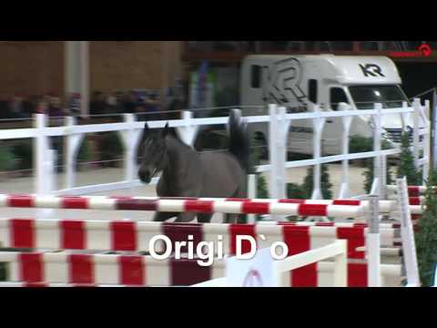 Stall VÖLZ - Hengst ORIGI D`O v. Diamant de Semilly