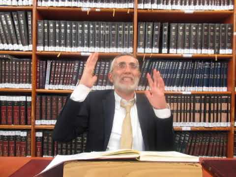 הרב יהושע ביבי - תשפ"ו - נענועי לולב - שיעור מס' 007 - נענועי הברכה וההלל בסידור הרש''ש להלכה