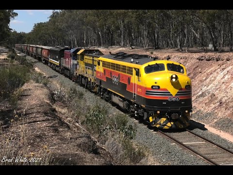 Grain Trains in the Central Goldfields with SSR's 9098 & PN's 9153- 7/1/21