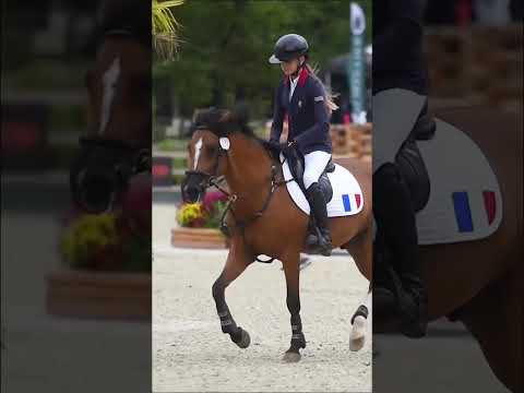 🐴✨ Hommage à Brune Faivre & Qopper der Lenn : une carrière exceptionnelle ! 🏆💙