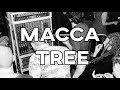 Macca Tree playing on Bloodhound Soundsystem @ Irie Echo's, Sintniklaas