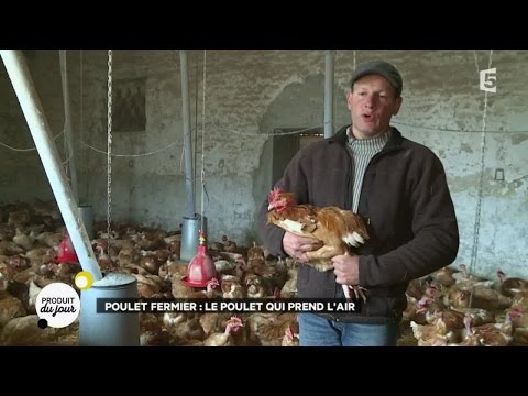 , title : 'Poulet fermier : le poulet qui prend l'air'