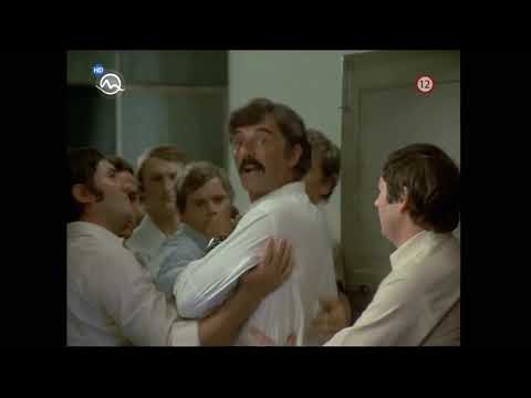 Pasla kone na betone 1982  -  Ktorý kuň to povedal, ta jediný kuň ši tu ty predsedo. 😁