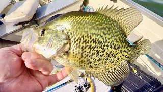 Tackle Tip Tuesday - How To Find Spring Crappie!