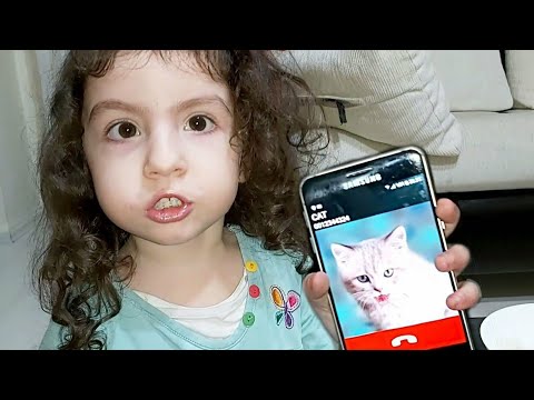 Afifenin Kedisi Esmanuru Aradı كانت والدتها تطبخ المعكرونة لإسمانور