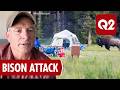 MTN Speaks With Photographer Of Viral Bison Attack In Yellowstone National Park