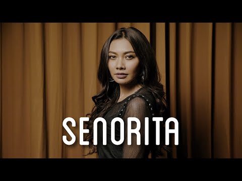 Shawn Mendes, Camila Cabello - Señorita [COVER] By Gam X Billbilly01