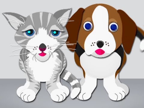 Benefits of Spaying and Neutering Your Pets