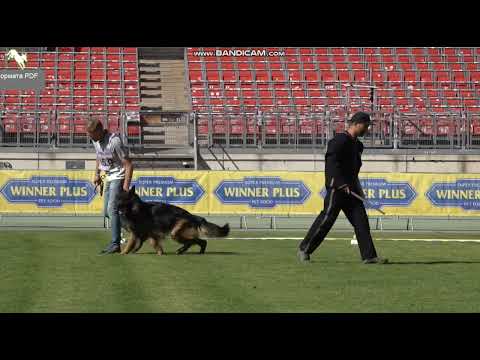 1539 Team Leiksaid Hilton - TSB BSZS-2023