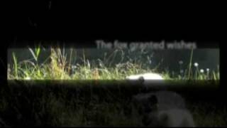 Tail of the Nine-Talied Fox (4)