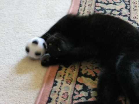 Lazy Soccer/FootBall Player