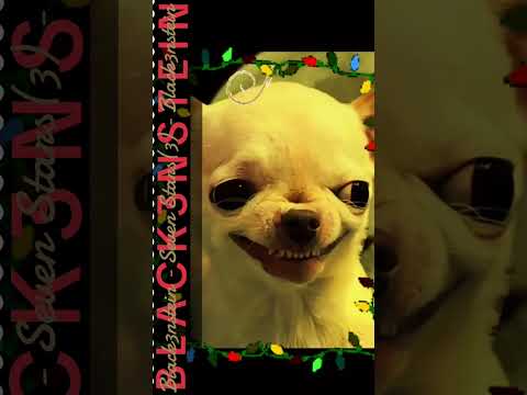 BLACK3NSTEIN - Seven Stars(3)