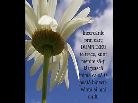 Frații Ursan - Când crezi că nu mai ai pe nimeni