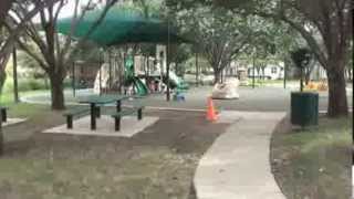 Hackberry Creek Scenes
