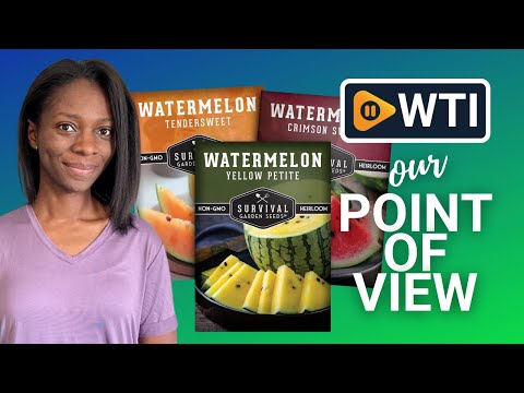 Survival Garden Seeds Tri-Color Watermelon Collection Seed Vault - Non-GMO Heirloom Mix for Planting Juicy Watermelons - Yellow Petite - WTI product video review