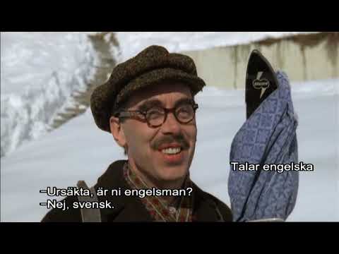 2 Sallskapsresan II Snowroller 1985 SWESUB DVDRip XviD Haggebulle