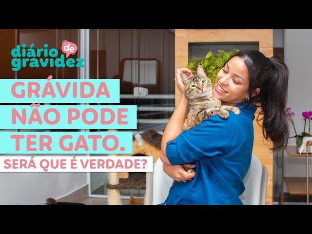 DIÁRIO DE GRAVIDEZ | GRÁVIDAS NÃO PODEM TER CONTATO COM GATOS?