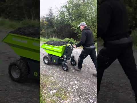 Dumper - Image 2