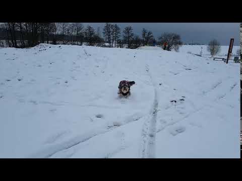 Babička Umma na sněhu - YouTube