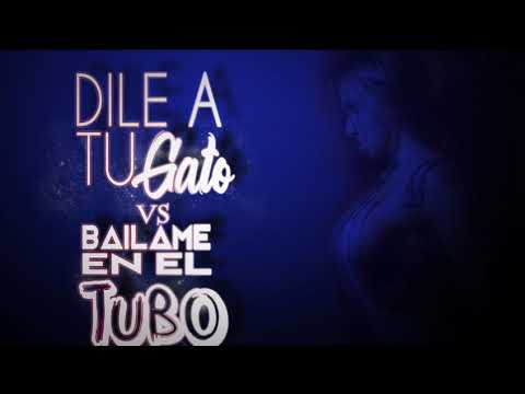 DILE A TU GATO VS BAILAME EN EL TUBO (RKT) BRUNO DJ FT ENZO SALAZAR 🔥
