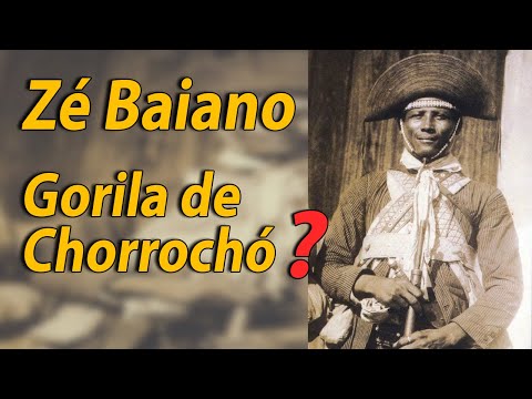 Zé Baiano - Gorila de Chorrochó?
