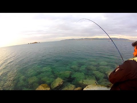 Kystfiskeri efter tun