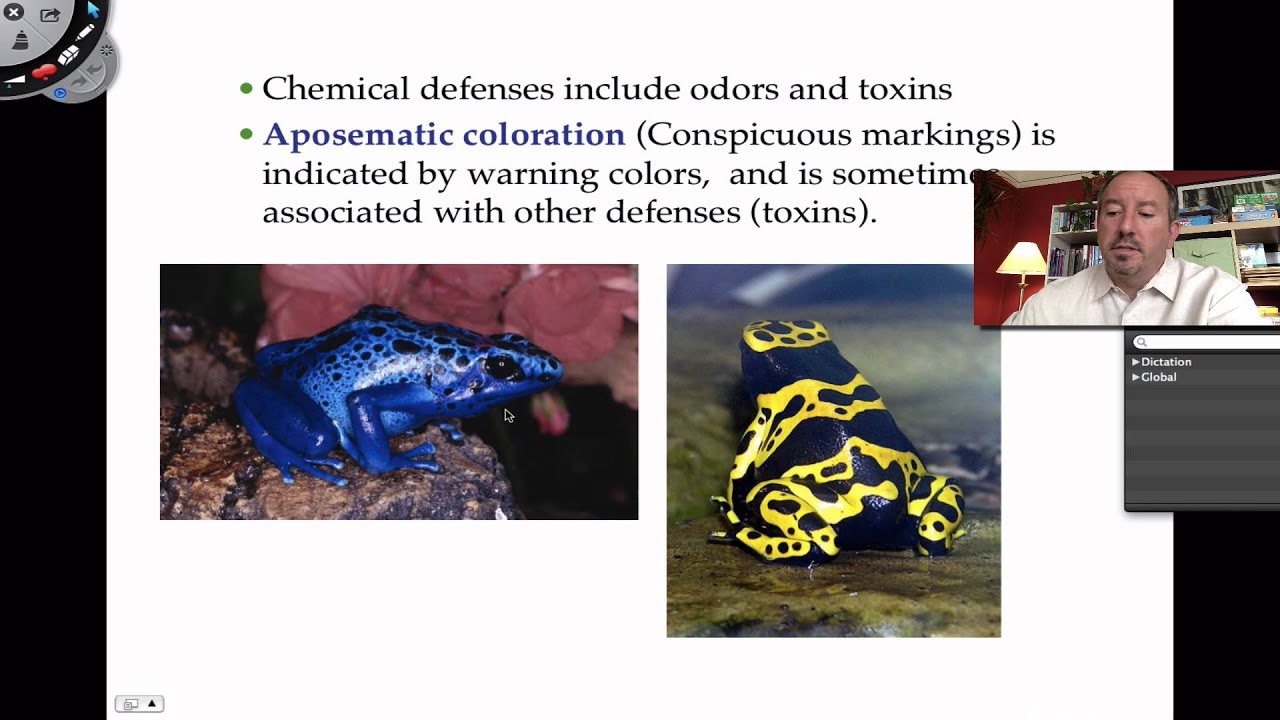 Introduction to Community Ecology