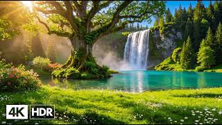 Music Therapy for Inner Peace 🌿 Relaxing Sounds to Calm the Mind, Ease Anxiety and Support Deep Slee
