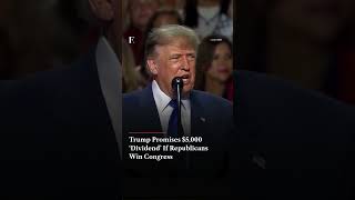 Trump Pledges $5,000 ‘Dividend’ If Republicans Win Election | N18G