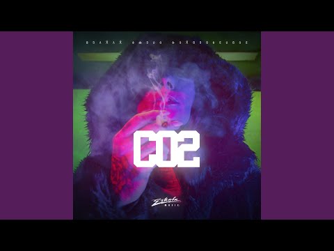 CO2 (Instrumental)