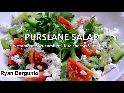 PURSLANE SALAD RECIPE