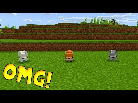 How To Spawn Foxes In Minecraft Pocket Edition!