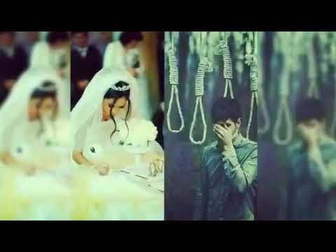 EMI-B туй муборак 2