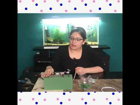 Video donadores horas