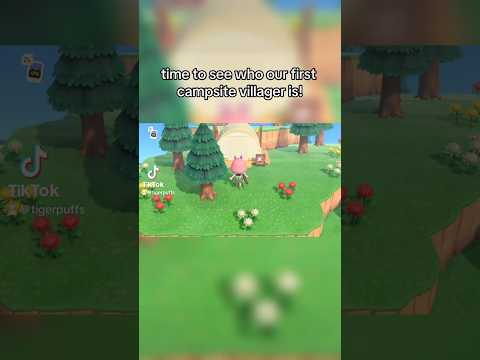 first campsite villager on my forever island! 🥲 #animalcrossing #shorts