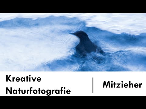 Kreative Tierfotografie Teil 2: Mitzieher
