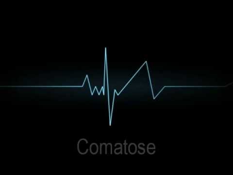 Skillet - Comatose (Lyrics) [HD]