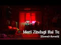 Meri Zindagi Hai Tu Lofi Slowed Reverb Jubin Nautiyal Bollywood Songs NT Vibes