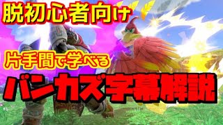 【脱初心者】今からでも全然OK！バンカズ字幕解説！【スマブラSP】