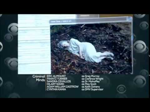 CRIMINAL MINDS 10x13 - NELSON'S SPARROW