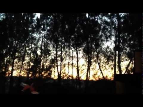 Ital Vibes Sound System@Outdoor  DUB Session#3